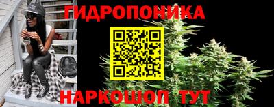 шишки Партизанск