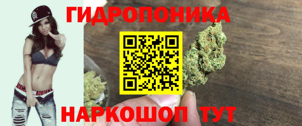 Бошки Шишки сатива Тавда